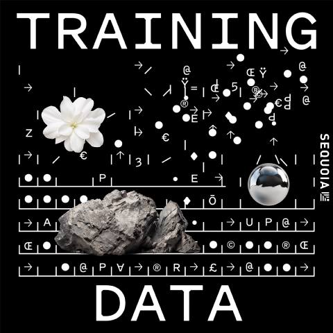 Training Data podcast cover