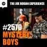 The Joe Rogan Experience podcast cover