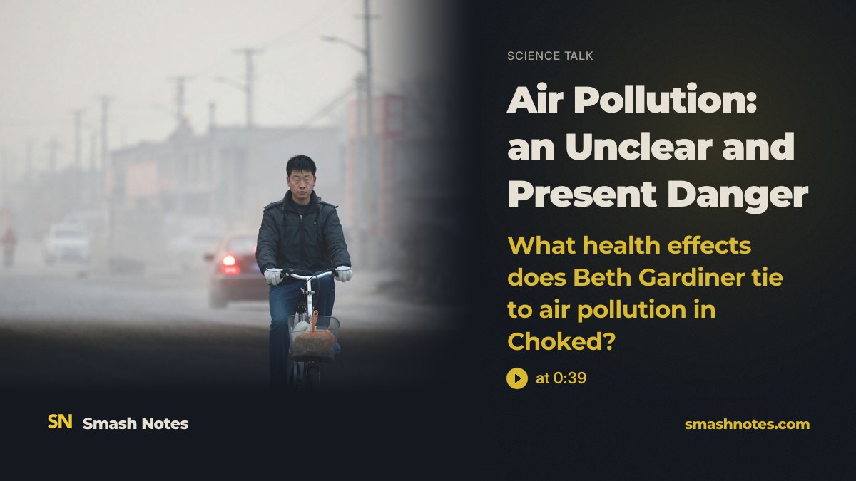 Air Pollution: an Unclear and Present Danger